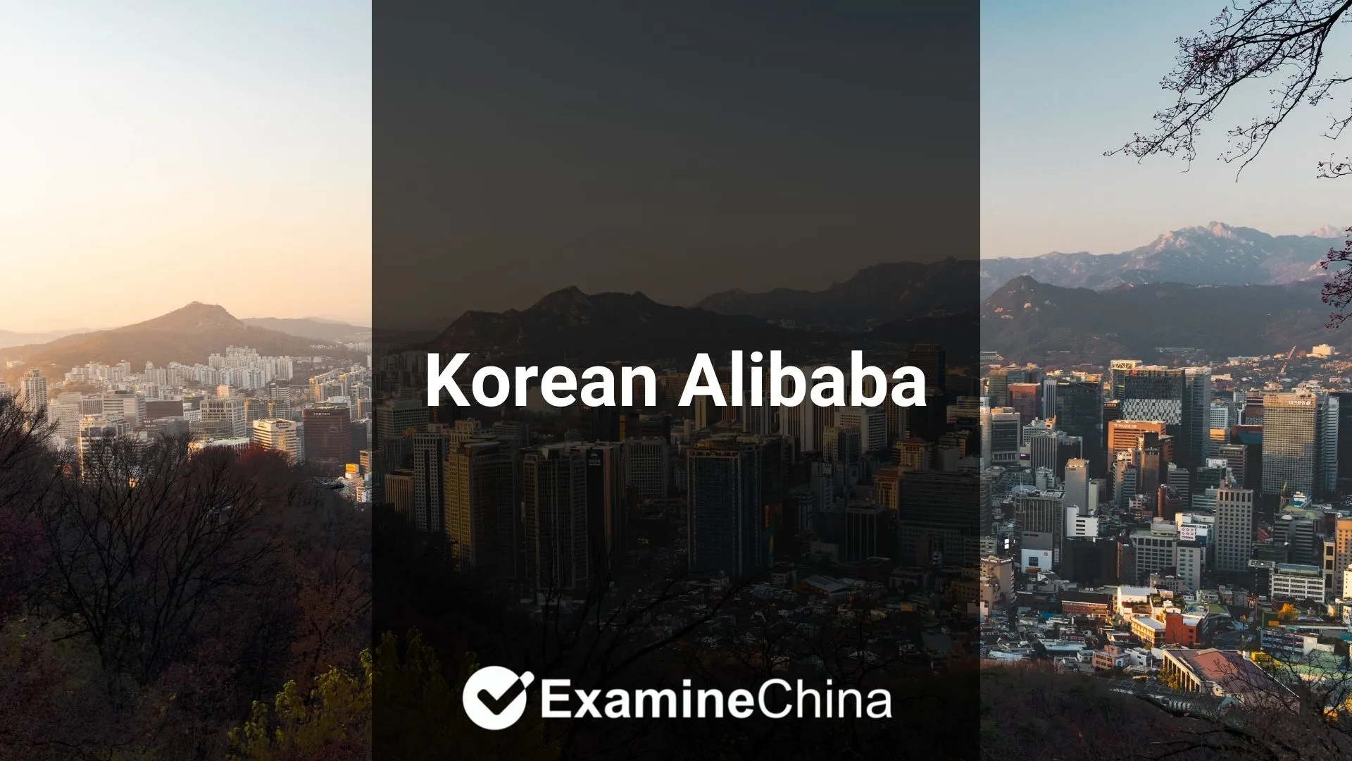 Korean Alibaba