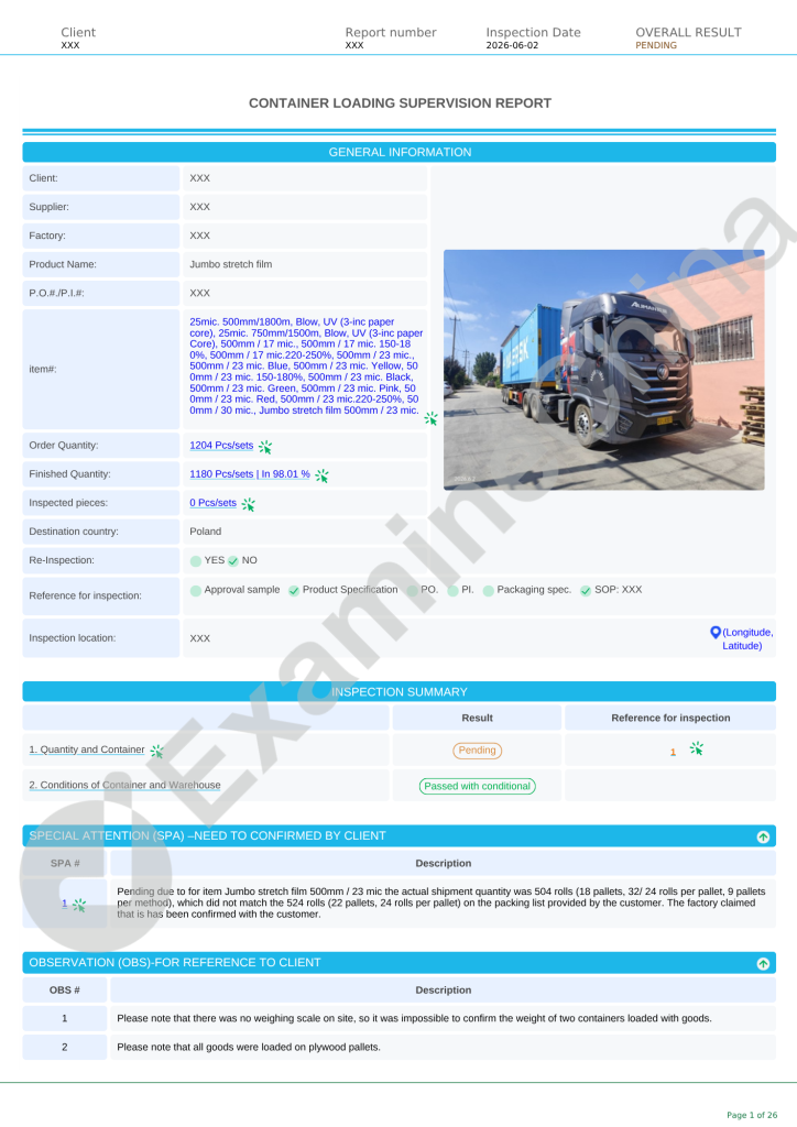 Loading inspection report